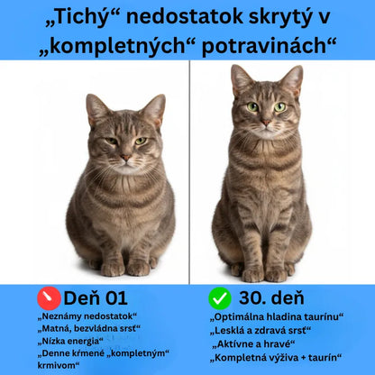 Taurine Cat Health Supplement